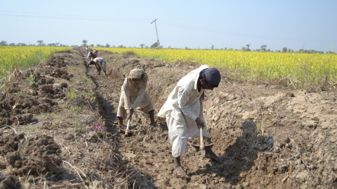 ER-DFID Project Jaffarabad